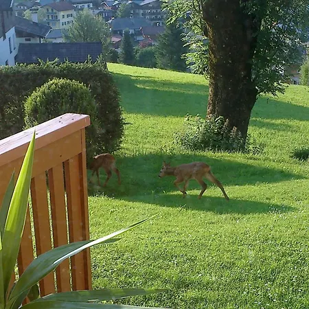Διαμέρισμα Bergblick By Interhome Abtenau
