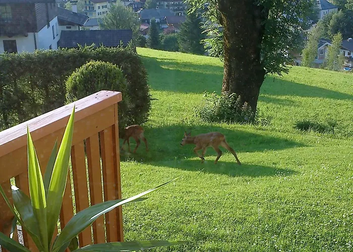 Διαμέρισμα Bergblick By Interhome Abtenau
