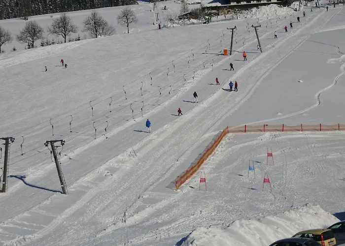 Bergblick By Interhome Διαμέρισμα Abtenau